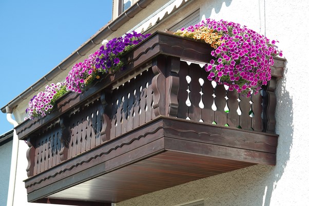 Die schönsten Blumen für den Balkon