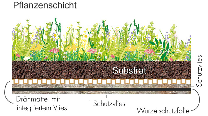 Dachbegruenung_Aufbau.jpg