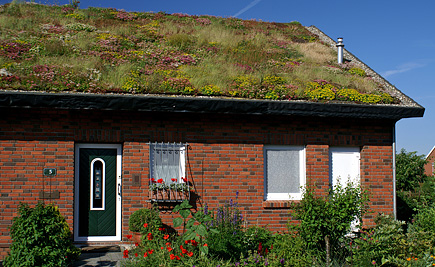 Dachbegruenung_Schraegdach.jpg