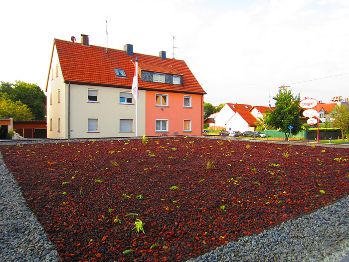 Pflanzensamen aussäen, Sprossen ausstreuen