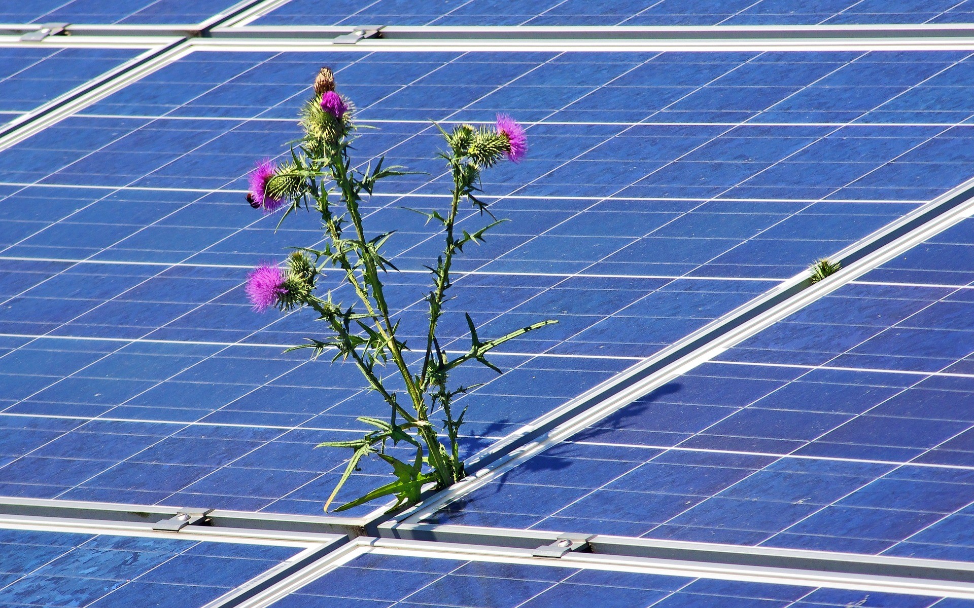 Der Solargenerator als umweltfreundliches Notstromaggregat